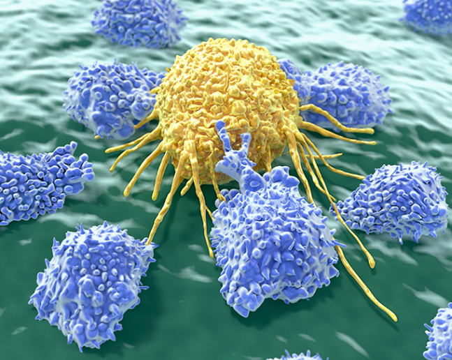 Buňky onkologického onemocnění 